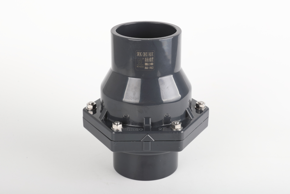 邦溪镇翻板式止回阀