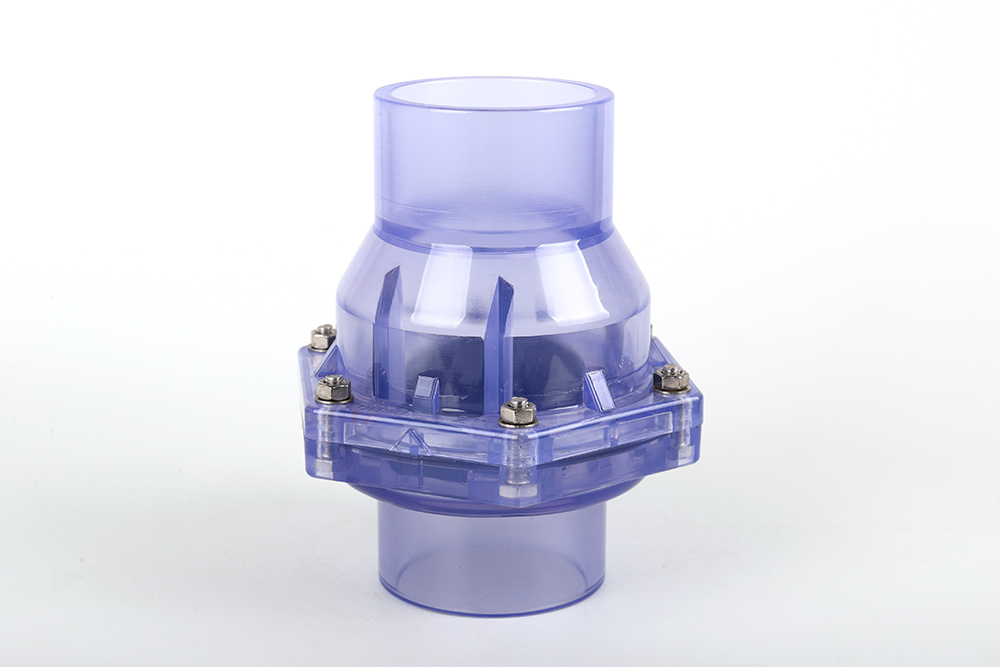 邦溪镇透明翻板式止回阀